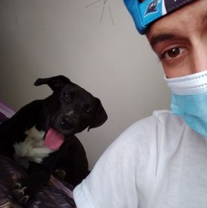 Meet your Posher, Topp